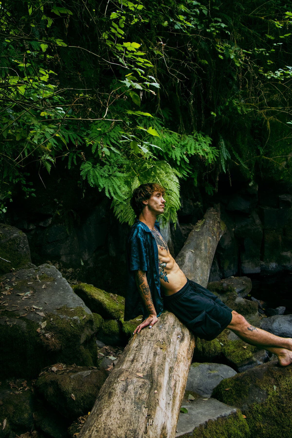 Brandon sitting on a fallen log among ferns and mossy boulders